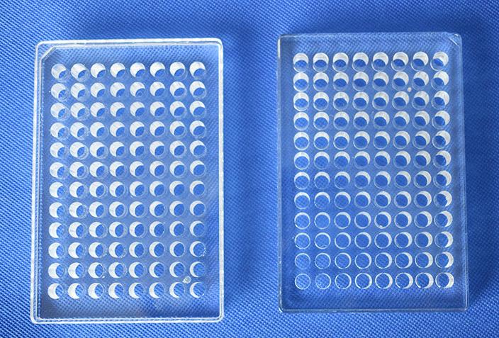 ʯӢ��������������