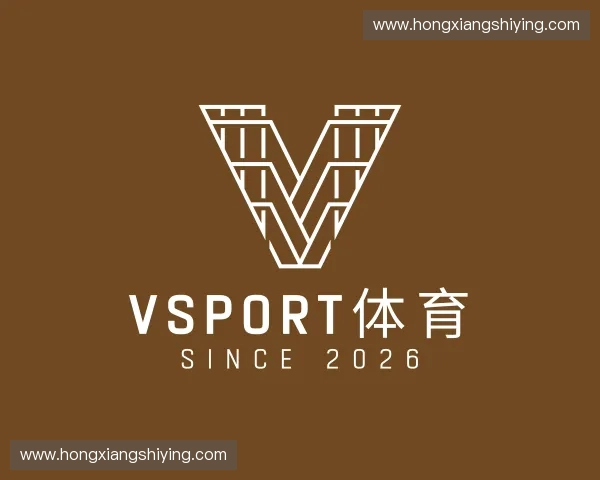 介绍vsport体育